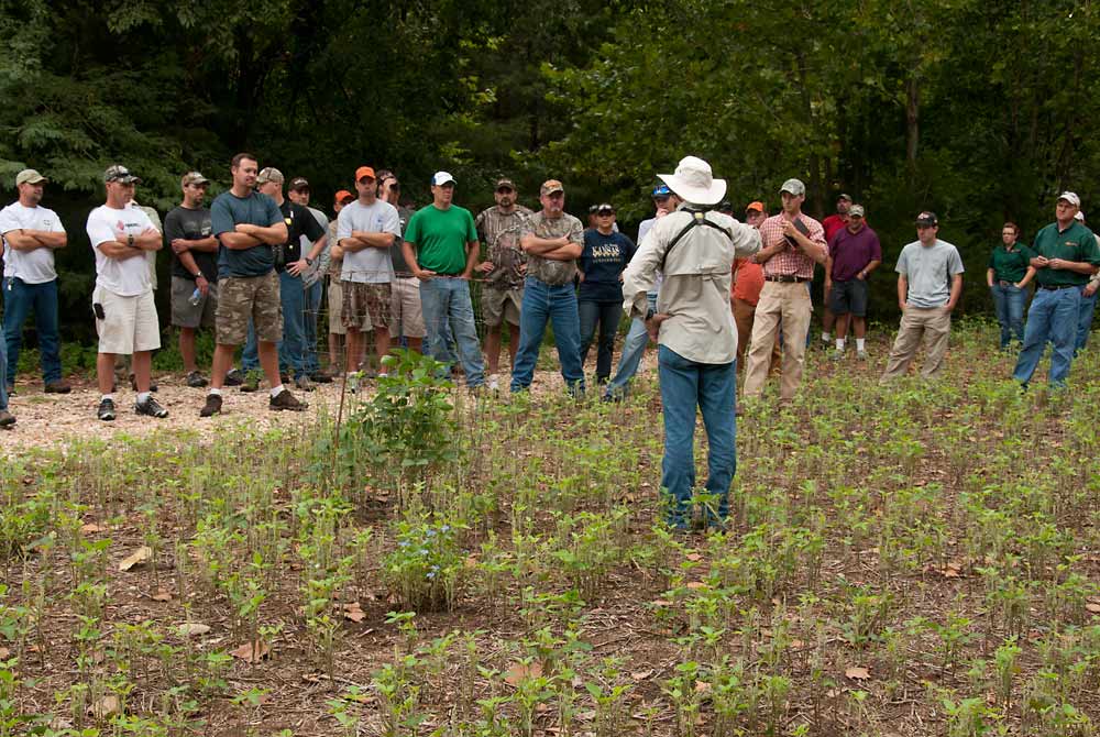 How To Plant Successful Food Plots • Hunting Advice And Tips For Serious Deer And Turkey Hunters