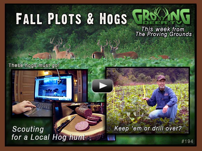 Fall Food Plots And Hogs Episode 194 • Hunting Advice And Tips For Serious Deer And Turkey Hunters